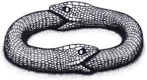 Le paradoxe du gauchisme Le paradoxe du gauchisme