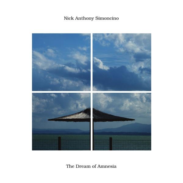 [Release] Nick Anthony Simoncino -Dream of Amnesia LP