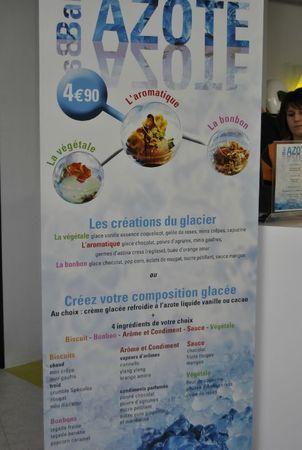 La Cité du numérique en 2012 20090101-564