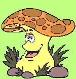 Verrines forestières 0039.gif