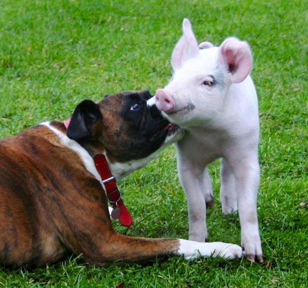 SIPA_00629761_000008 SIPA_00629761_000008