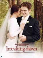 Aperçu des éditions américaines des dvd de Breaking Dawn