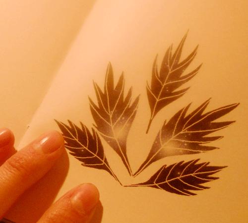 Je m'excuse pour ces photos déplorables, mon... Je m'excuse pour ces photos déplorables, mon...