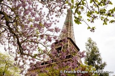 La végétation francilienne est en net recul La végétation francilienne est en net recul