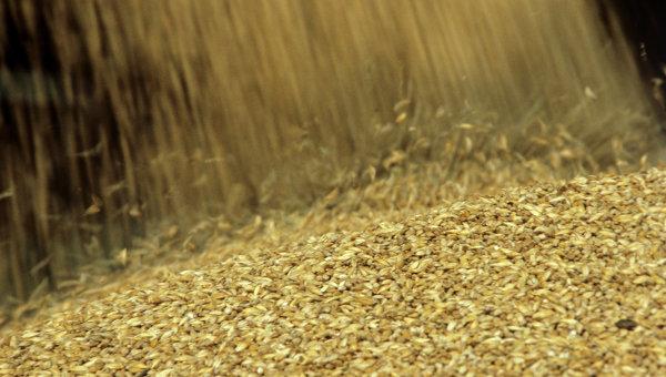 La Russie exporte 18,6 millions de tonnes de céréales en six mois