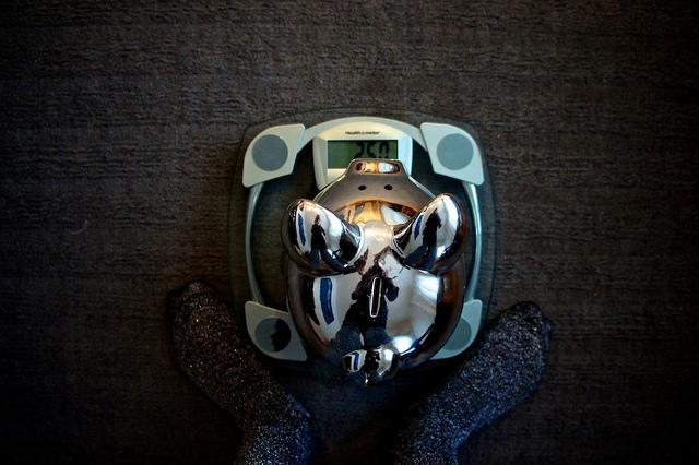 Ça y est: je balance ma balance par la fenêtre... DSC03998