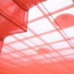 Portrait de l’artiste Sud-Coréen Do-Ho Suh ! Portrait de l’artiste Sud-Coréen Do-Ho Suh !