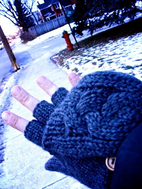 Un matin pas comme les autres... DSC07726