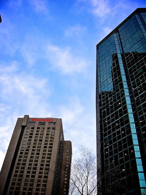 Un matin pas comme les autres... DSC07802