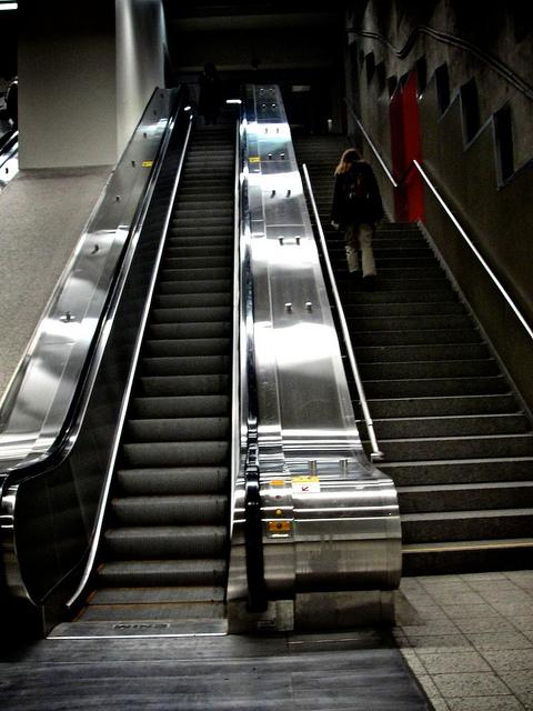 Un matin pas comme les autres... DSC07792