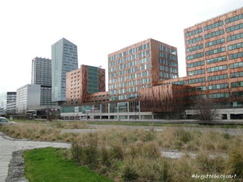 Une visite touristique de Lille: Euralille et le jardin des géants.