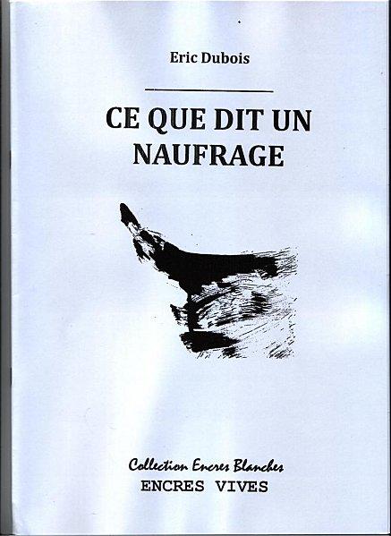 ce-que-dit-un-naufrage.jpeg