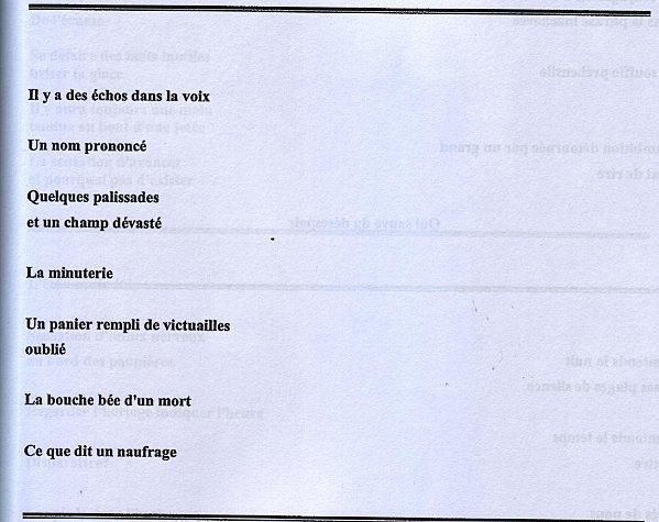ce-que-dit-un-naufrage---extrait.jpeg