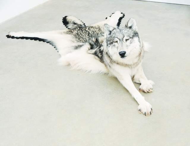 Baliser le territoire : Manifestation d’art contemporain autochtone Baliser le territoire : Manifestation d’art contemporain autochtone