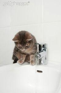 Abécédaire idioms anglais: la lettre O Abécédaire idioms anglais: la lettre O