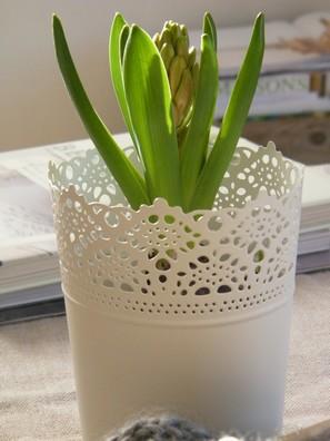 WINTER ...
Signe particulier : Frileuse ...&... hébergement gratuit de photos & vidéos avec www.photomania.com