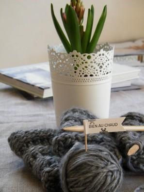 WINTER ...
Signe particulier : Frileuse ...&... hébergement gratuit de photos & vidéos avec www.photomania.com