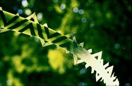 De la Nature et de l'Art walter-mason6-550x361