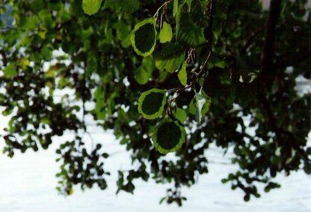 De la Nature et de l'Art walter-mason9-550x375