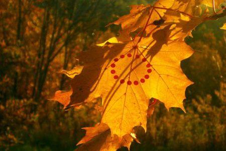 De la Nature et de l'Art walter-mason14-550x368