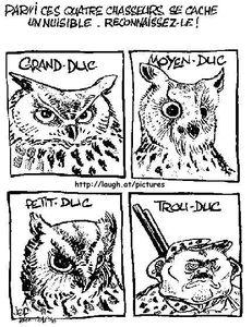 Pour passer le premier tour, Sarkozy fait de la lèche à la racaille des talus chasseur