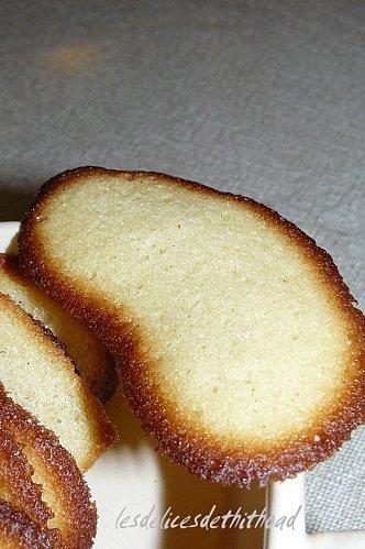 Langues de chat P1130508.JPG