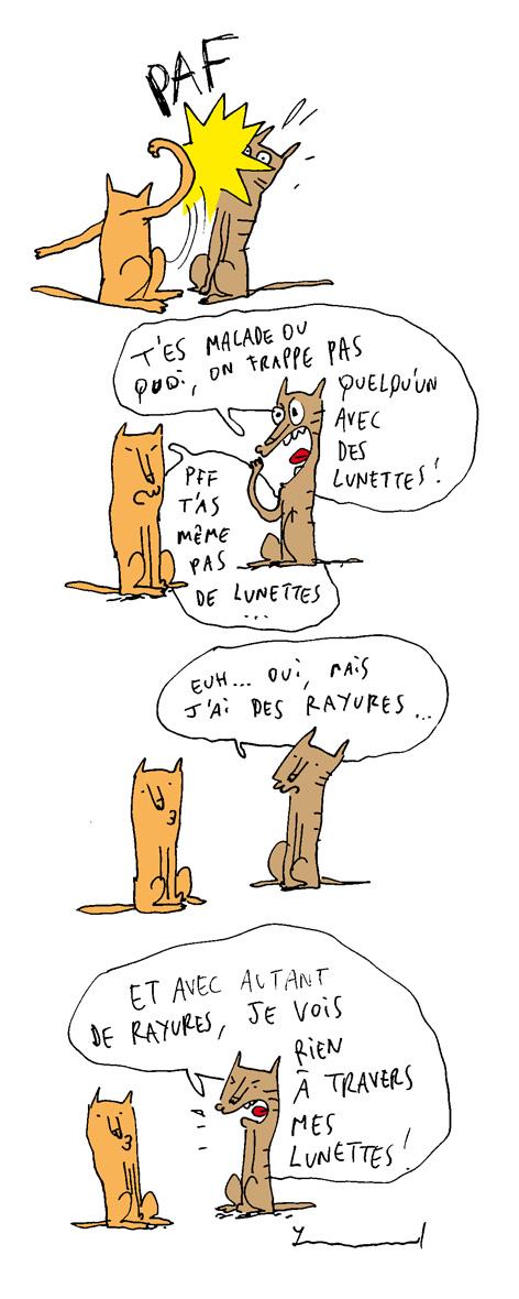 rayureslunettes.jpg