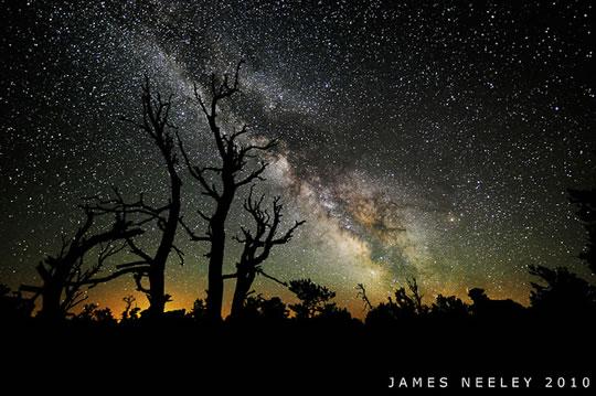 James Neeley Vendredi inspiration #25 : James Neeley