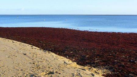 Bon week-end ! P1160200