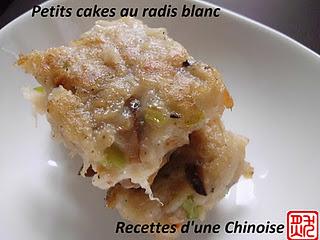 J-2: Une variété de Dim Sum: petit cake au radis blanc 萝卜丝糕 luóbosī gāo J-2: Une variété de Dim Sum: petit cake au radis blanc 萝卜丝糕 luóbosī gāo