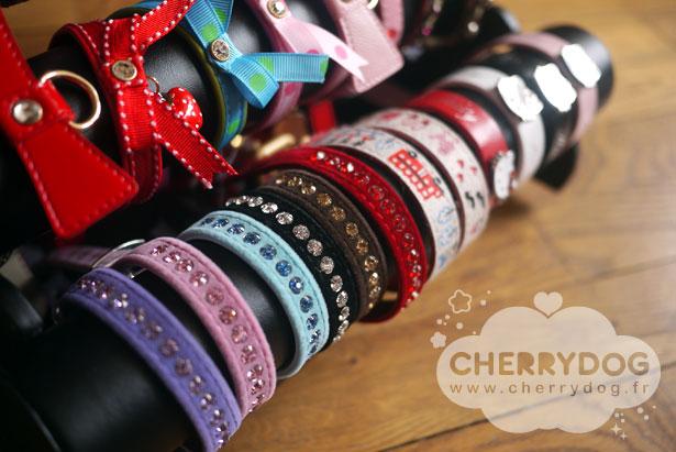 Les colliers pour chiens disponibles sur Cherry Dog