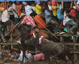 Bayonnais, regardez ! À Bogotá, les citoyens ne seront plus rackettés pour la corrida 12494B891D9DD5C2182881E4EFFA