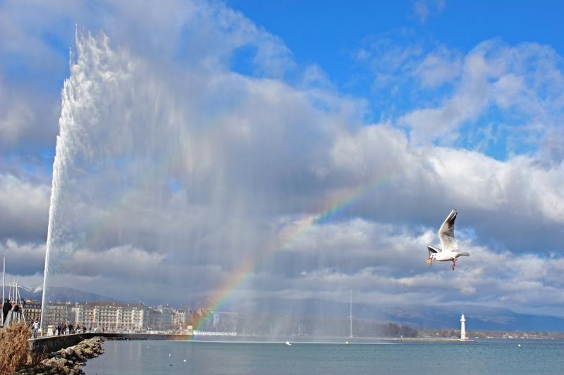 Jet d’eau et arc en ciel! IMG_8142.jpg