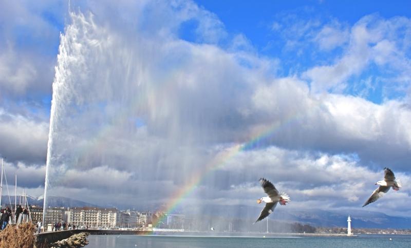 Jet d’eau et arc en ciel! Sans titre-1-ssssss1111.jpg