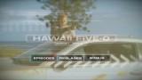 Test DVD: Hawaii 5-0 – Saison 1