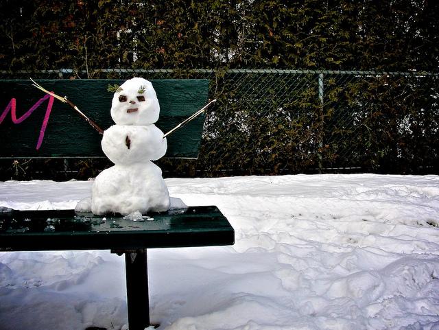 Une rencontre inoubliable... DSC07348