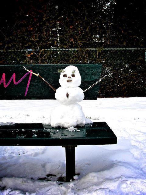 Une rencontre inoubliable... DSC07346