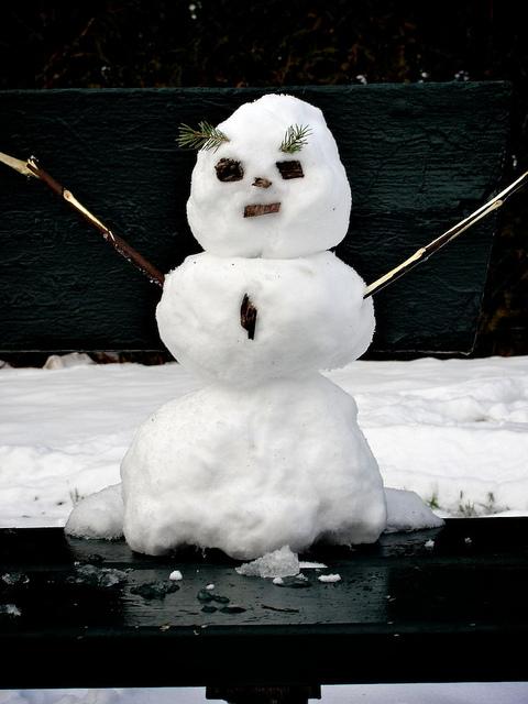 Une rencontre inoubliable... DSC07356