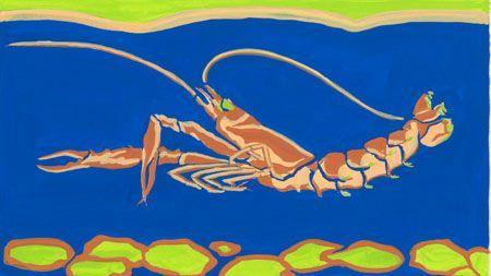 langoustine1 - copie