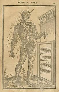 Les Nouvelles Connaissances de la Médecine durant la Renaissance