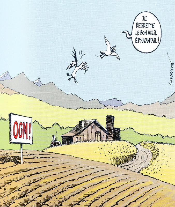 OGM, peut-on prendre des risques devant tant d’incertitudes ?