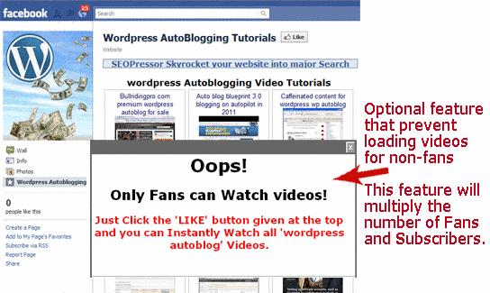 Comment transformer une page fans Facebook en site niche vidéo en 5 minutes