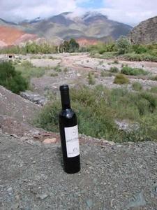 VDV#42: puisque vous partez en voyage... vendredis du vin,gringet,dominique belluard,les alpes,ayze