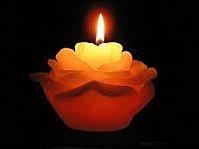 Auteur à découvrir... images