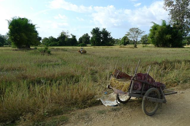Suite et (presque) fin de notre voyage au Laos en novembr... P1060030