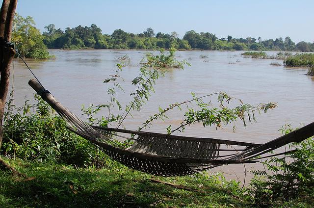 Suite et (presque) fin de notre voyage au Laos en novembr... DSC_0782
