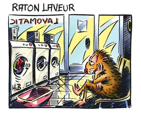 RatonW