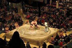 Sakura House Le tour des blogs en 7 jours #7