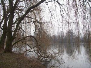 Un bon bol d'air frais 101_1101