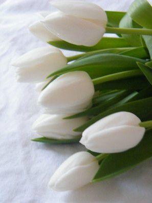 HAPPY ...
Un dimanche comme je les aime ...
... DSCF8400b